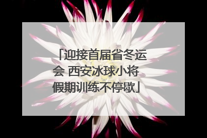 迎接首届省冬运会 西安冰球小将假期训练不停歇