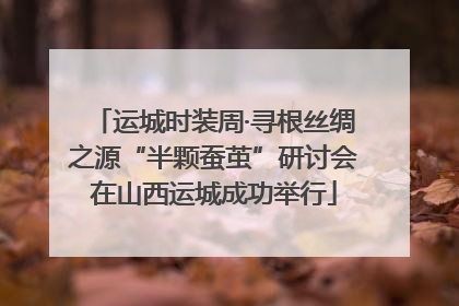 运城时装周·寻根丝绸之源“半颗蚕茧”研讨会在山西运城成功举行