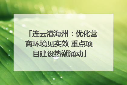 连云港海州：优化营商环境见实效 重点项目建设热潮涌动