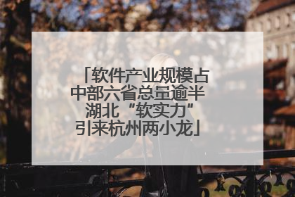 软件产业规模占中部六省总量逾半 湖北“软实力”引来杭州两小龙