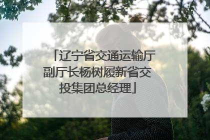 辽宁省交通运输厅副厅长杨树履新省交投集团总经理