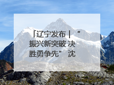 辽宁发布｜“振兴新突破 决胜勇争先” 沈阳这么干！