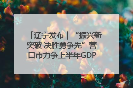 辽宁发布｜“振兴新突破 决胜勇争先”营口市力争上半年GDP增长6%左右