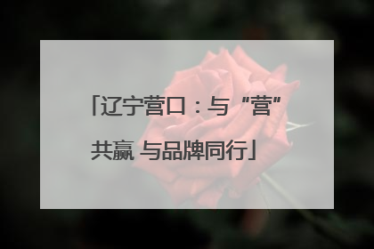 辽宁营口：与“营”共赢 与品牌同行