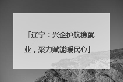 辽宁：兴企护航稳就业，聚力赋能暖民心
