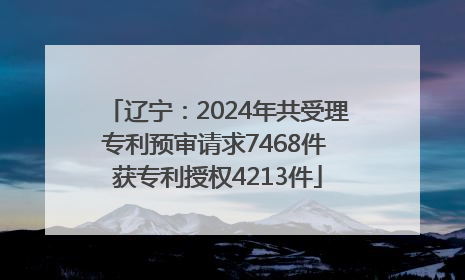 辽宁：2024年共受理专利预审请求7468件 获专利授权4213件