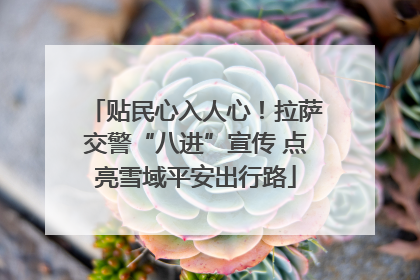 贴民心入人心！拉萨交警“八进”宣传 点亮雪域平安出行路