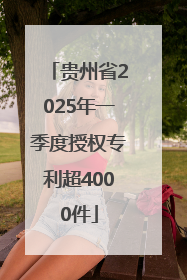 贵州省2025年一季度授权专利超4000件