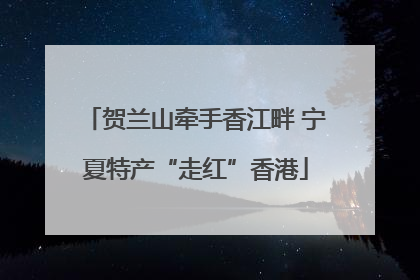 贺兰山牵手香江畔 宁夏特产“走红”香港
