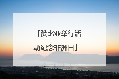 赞比亚举行活动纪念非洲日