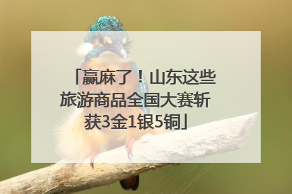 赢麻了！山东这些旅游商品全国大赛斩获3金1银5铜
