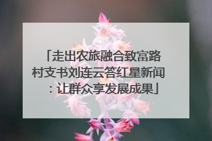 走出农旅融合致富路 村支书刘连云答红星新闻：让群众享发展成果