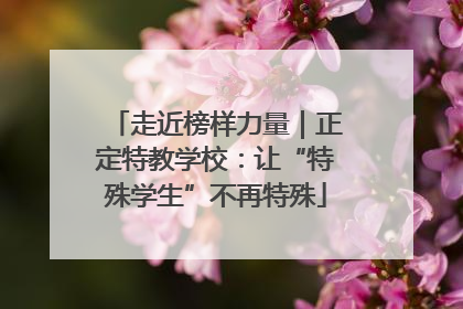 走近榜样力量｜正定特教学校：让“特殊学生”不再特殊