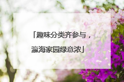 趣味分类齐参与，瀛海家园绿意浓