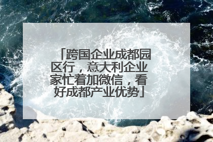 跨国企业成都园区行，意大利企业家忙着加微信，看好成都产业优势