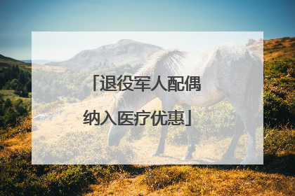 退役军人配偶纳入医疗优惠