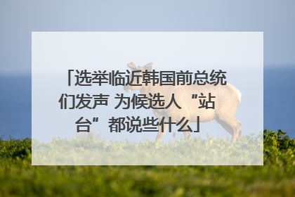 选举临近韩国前总统们发声 为候选人“站台”都说些什么