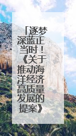 逐梦深蓝正当时！《关于推动海洋经济高质量发展的提案》背后的故事
