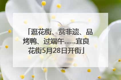 逛花街、赏非遗、品烤鸭、过端午……宜良花街5月28日开街