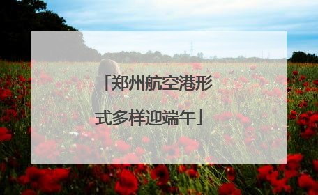 郑州航空港形式多样迎端午
