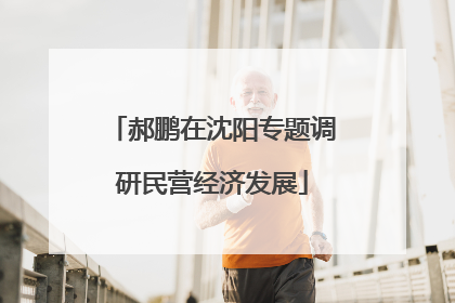 郝鹏在沈阳专题调研民营经济发展