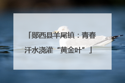 郧西县羊尾镇：青春汗水浇灌“黄金叶”