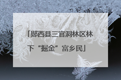 郧西县三官洞林区林下“掘金”富乡民