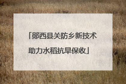 郧西县关防乡新技术助力水稻抗旱保收