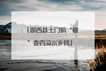 郧西县土门镇“椒”香四溢富乡民