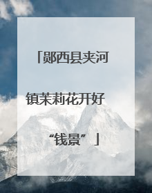 郧西县夹河镇茉莉花开好“钱景”
