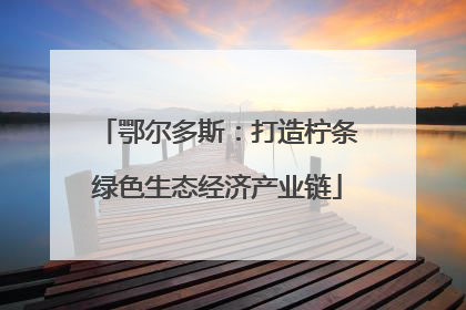 鄂尔多斯：打造柠条绿色生态经济产业链