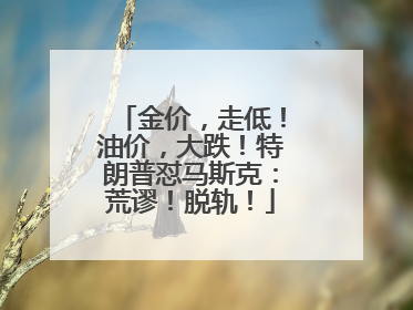 金价，走低！油价，大跌！特朗普怼马斯克：荒谬！脱轨！