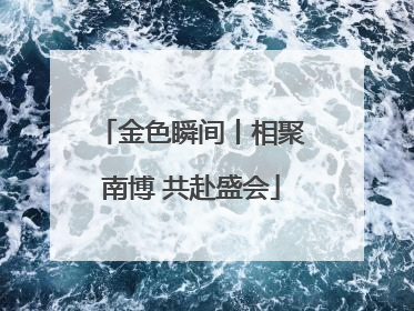 金色瞬间丨相聚南博 共赴盛会