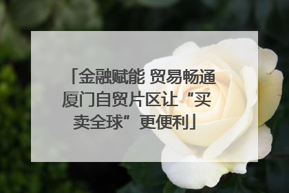 金融赋能 贸易畅通 厦门自贸片区让“买卖全球”更便利