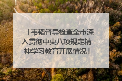 韦韬督导检查全市深入贯彻中央八项规定精神学习教育开展情况
