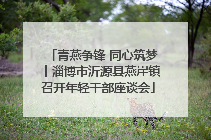 青燕争锋 同心筑梦丨淄博市沂源县燕崖镇召开年轻干部座谈会