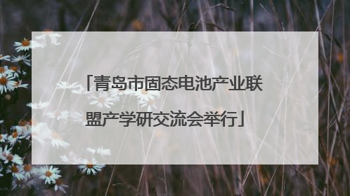 青岛市固态电池产业联盟产学研交流会举行