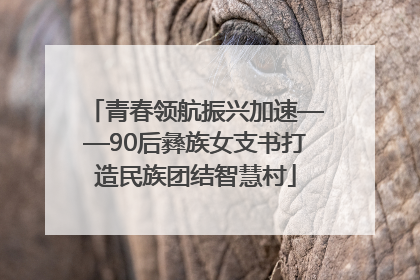 青春领航振兴加速——90后彝族女支书打造民族团结智慧村
