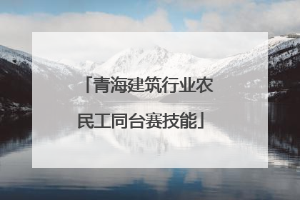 青海建筑行业农民工同台赛技能