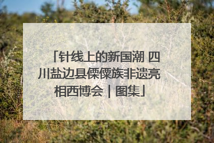 针线上的新国潮 四川盐边县傈僳族非遗亮相西博会｜图集