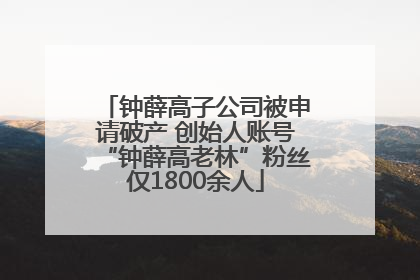 钟薛高子公司被申请破产 创始人账号“钟薛高老林”粉丝仅1800余人