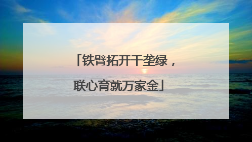 铁臂拓开千垄绿，联心育就万家金