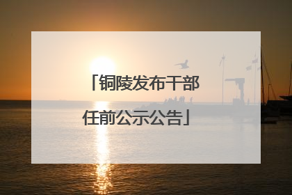铜陵发布干部任前公示公告