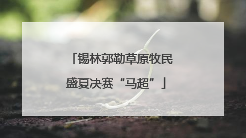 锡林郭勒草原牧民盛夏决赛“马超”
