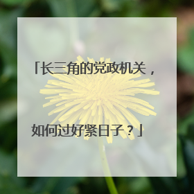 长三角的党政机关，如何过好紧日子？