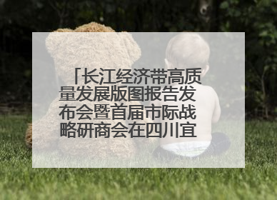 长江经济带高质量发展版图报告发布会暨首届市际战略研商会在四川宜宾成功举办