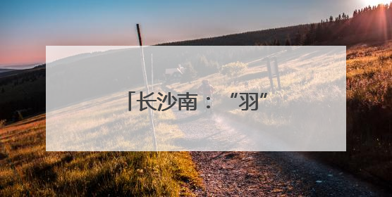 长沙南：“羽”动赛场展风采 汗洒征途竞锋芒