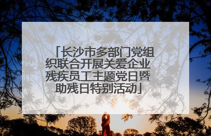 长沙市多部门党组织联合开展关爱企业残疾员工主题党日暨助残日特别活动