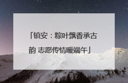 镇安：粽叶飘香承古韵 志愿传情暖端午