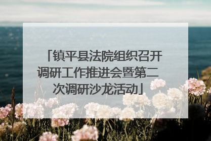 镇平县法院组织召开调研工作推进会暨第二次调研沙龙活动